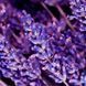 Парфюмированная вода Yodeyma Oud Gem 100ml 331 фото 4
