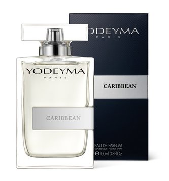 Парфюмированная вода Yodeyma Caribbean 100ml 037 фото